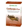 Herbal one Cordycepts-Plus ตังถั่งเฉ้า 30 แคปซูล อ้วยอันโอสถ