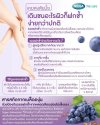 Mega we care grape seed hs 150mg 30 เม็ด เมก้า วีแคร์ สารสกัดจากเมล็ดองุ่น 150มก