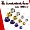 nut-จี้ลาย-จี้เส้น.jpg