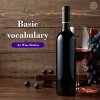 Basic vocabulary for Wine Drinker 