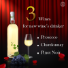 3 Wines for new wine’s drinker 3 Wines for new wine’s drinker