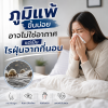 ภูมิแพ้ขึ้นบ่อย อาจไม่ใช่อากาศ แต่เป็นไรฝุ่นจากที่นอน ภูมิแพ้ขึ้นบ่อย อาจไม่ใช่อากาศ แต่เป็นไรฝุ่นจากที่นอน