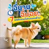 น้องหมาฉี่นาน ฉี่บ่อย อย่ามองข้าม น้องหมาฉี่นาน ฉี่บ่อย อย่ามองข้าม