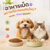 อาหารเม็ดอย่างเดียวพอจริงไหม? ลองเสริม “มื้อสด” ให้น้องกัน อาหารเม็ดอย่างเดียวพอจริงไหม? ลองเสริม “มื้อสด” ให้น้องกัน