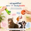 เลือกของเล่นให้หมาแมว อย่าดูแค่ดีไซน์ เพราะ "สี" ก็สำคัญไม่แพ้กัน เลือกของเล่นให้หมาแมว อย่าดูแค่ดีไซน์ เพราะ "สี" ก็สำคัญไม่แพ้กัน