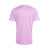 Manchester United 2026/27 Away Goalkeeper Jersey