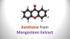 Development of antituberculosis melt-blown polypropylene filters coated with mangosteen extracts for medical face mask applications