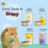 อาหารเปียกแมว แคทเทส Cat's Taste ขนาด 75 กรัม (เกรวี่)