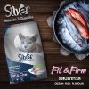 อาหารแมวชนิดเม็ด Silver (ซิลเวอร์) ถุง 1kg