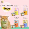 อาหารเปียกแมว แคทเทส Cat's Taste ขนาด 75 กรัม (เยลลี่)