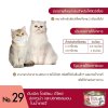 อาหารแมว เฟลิน่า คานิโน่ Felina Canino ขนาด 70 กรัม