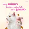 อาหารแมว Buzz Premium Advance Nutrition ขนาด 3 กิโลกรัม