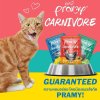 อาหารเปียกแมว Pramy Carnivore พรามี่ คาร์นิวอร์ ขนาด 70 g. (เกรวี่)
