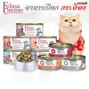 อาหารแมว เฟลิน่า คานิโน่ Felina Canino ขนาด 70 กรัม