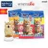 อาหารแมวชนิดเม็ด Master's Choice (มาสเตอร์ช้อยส์) ถุง 1 KG 6 ถุง
