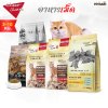 อาหารแมว CheerShare เชียร์แชร์