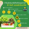 6 ข้อดีของผักอินทรีย์ต่อสุขภาพ