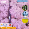 Kunming Yiliang Qingyi Dongchuan (cherry blossom viewing) 6 days 5 nights Kunming Airlines (KY)