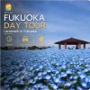 Fukuoka City Private Tour
