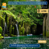 Day Trip to Miyazaki Takachiho Gorge & Shrine / Join Tour