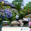 Fukuoka Dazaifu & Yanagawa Private Tour