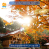 Fukuoka Private Tour & Transfer