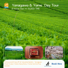Fukuoka Yanagawa & Yame Private Tour