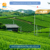 Fukuoka Yanagawa & Yame Private Tour