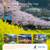 Yufuin & Beppu Private Tour