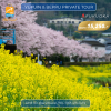 Yufuin & Beppu Private Tour