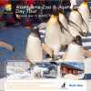 Asahiyama Zoo & Asahikawa Day Tour