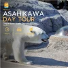 Asahiyama Zoo & Asahikawa Day Tour