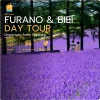 Furano & Biei Private Day Tour