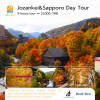 Jozankei and Sapporo Private Day Tour