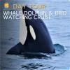 Whale dolphin & bird watching cruise