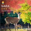Nara Private Day Tour