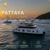 MC760 VVIP Motor Catamaran