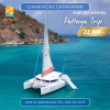 CHAMPAGNE  - 42ft  Sailing Catamaran