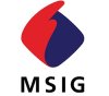 MSIG Travel Insurance Information Details Table