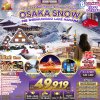 Osaka New Year's, late flight, 6 days, 4 nights, flying Air Asia