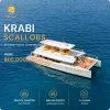 SCALLOBS Power Catamaran