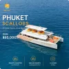SCALLOBS Power Catamaran