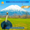 Niseko Panorama Private Day Tour