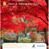 Nami Island & Alpaca World Private Day Tour