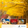 Nami Island & Bike Private Day Tour