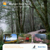 Alishan Private Day Tour