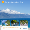 Taroko Gorge Day Tour