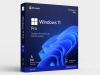 Microsoft Windows 11 PRO