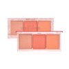 SIVANNA COLORS FALL IN NUDE MOOD BLUSHES PALETTE