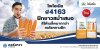 เมล็ดพันธุ์ข้าวโพด ไพโอเนีย พี4163 ขนาด 10 กิโลกรัม